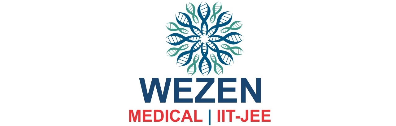 Wezen Education Pvt Ltd